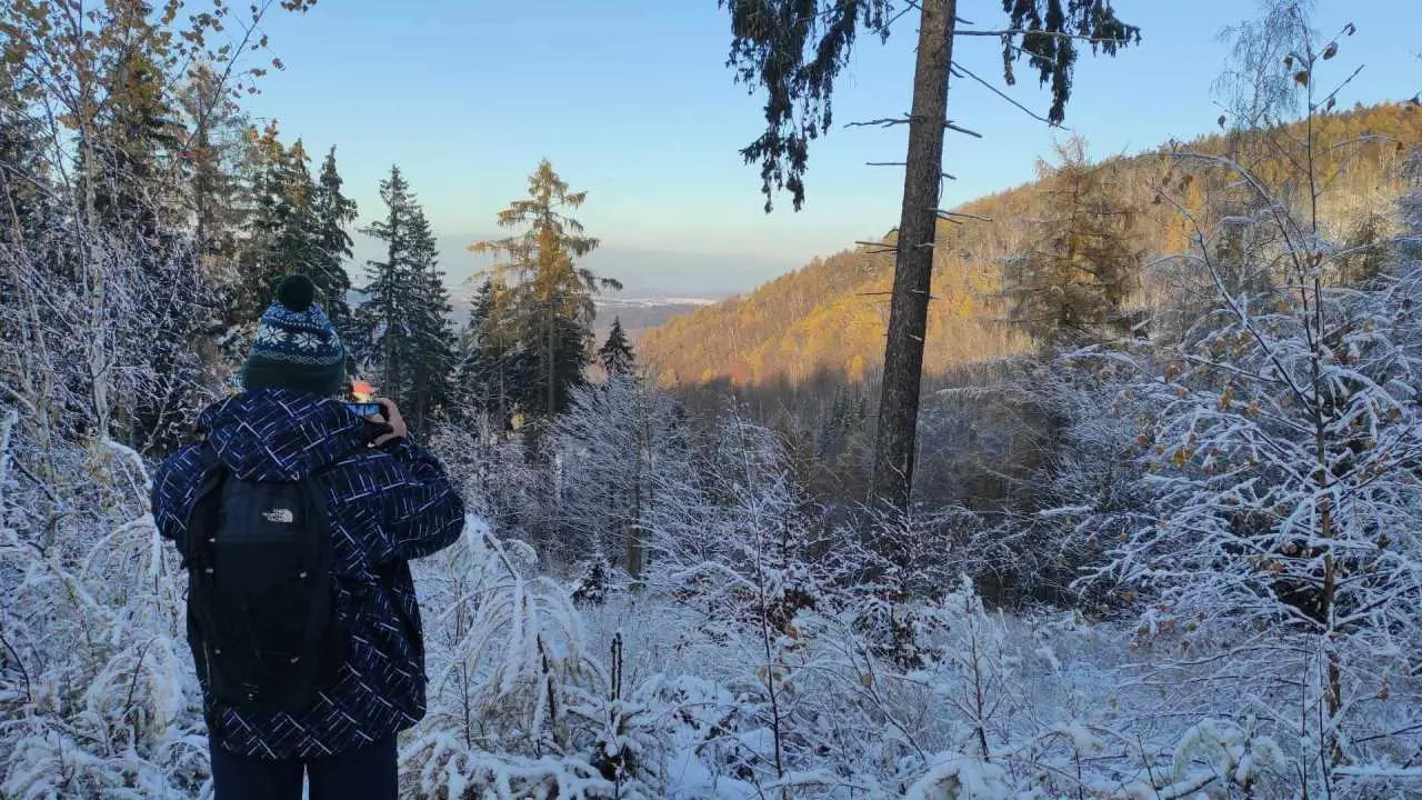 widoki wilkolak