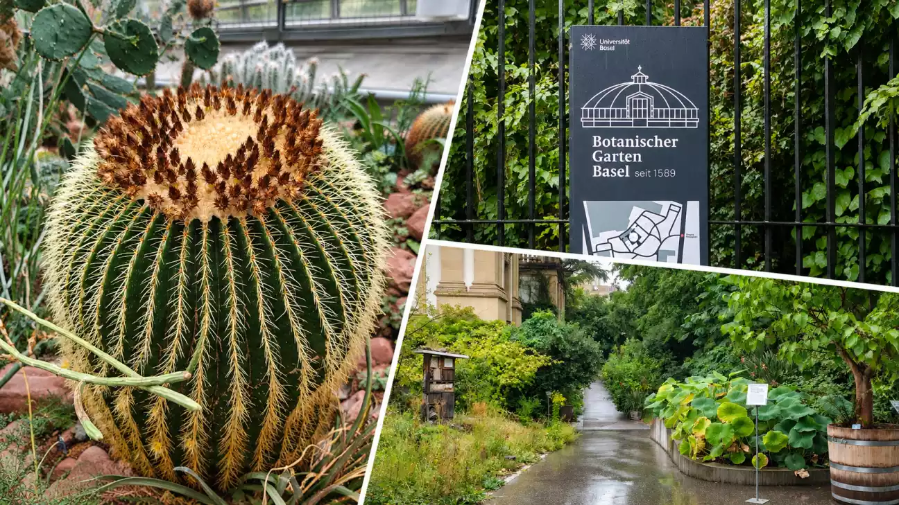 ogrod botaniczny