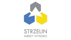 322 Logo: Strzelin