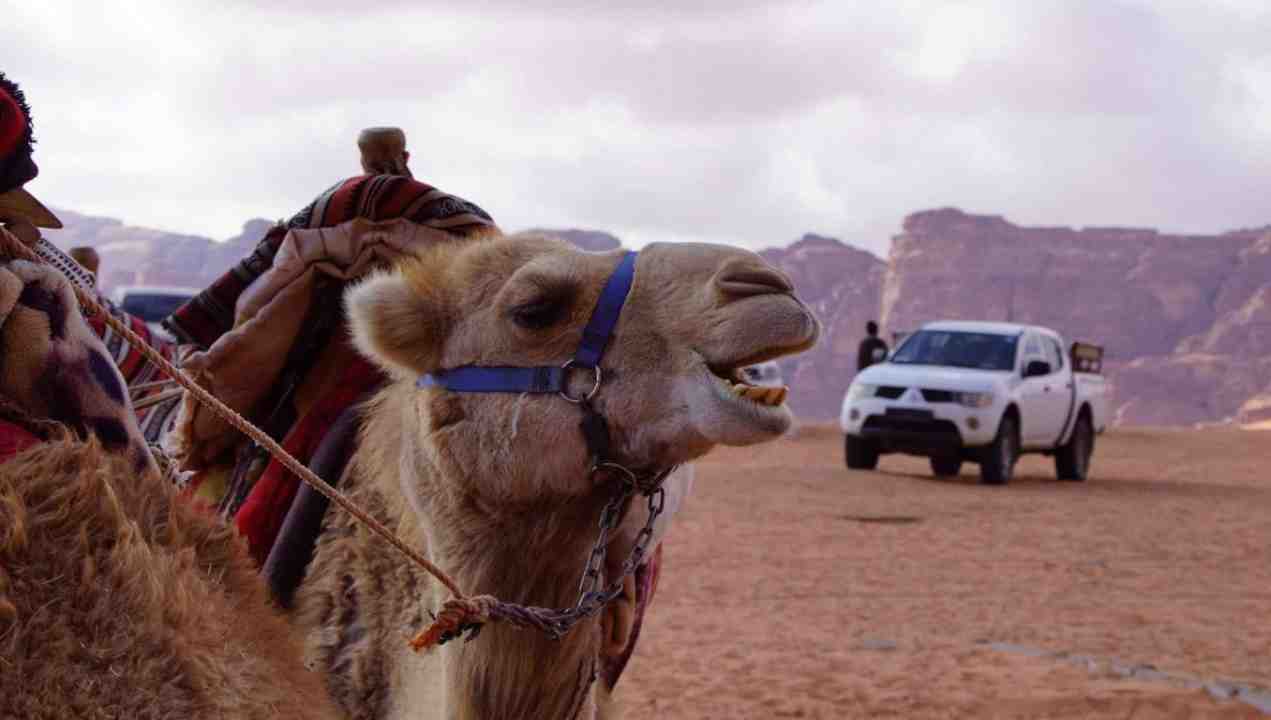 Jordania w zimie 2026