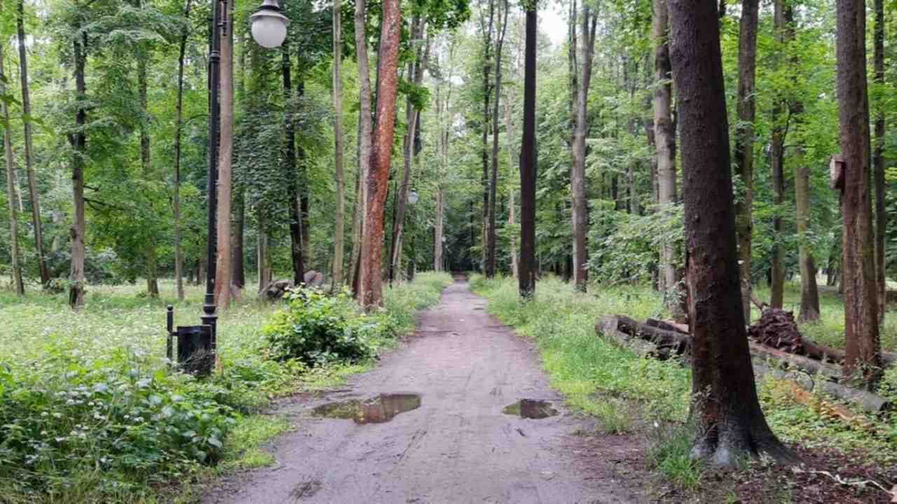Kompleks pałacowo-parkowy w Brzegu Dolnym