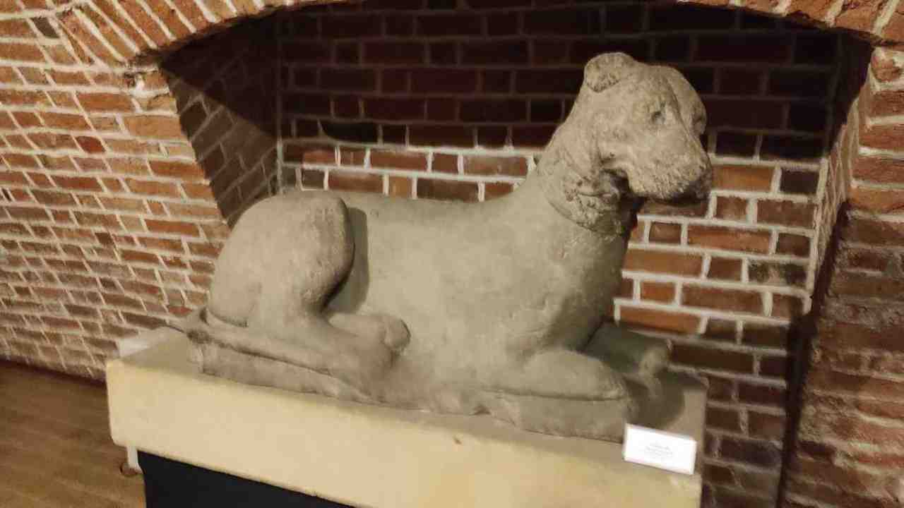 Pies, który dostał pomnik