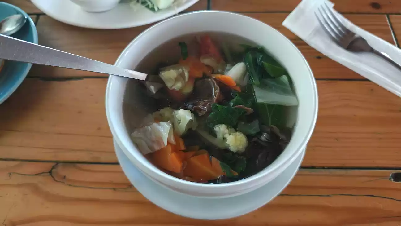 sop sayur