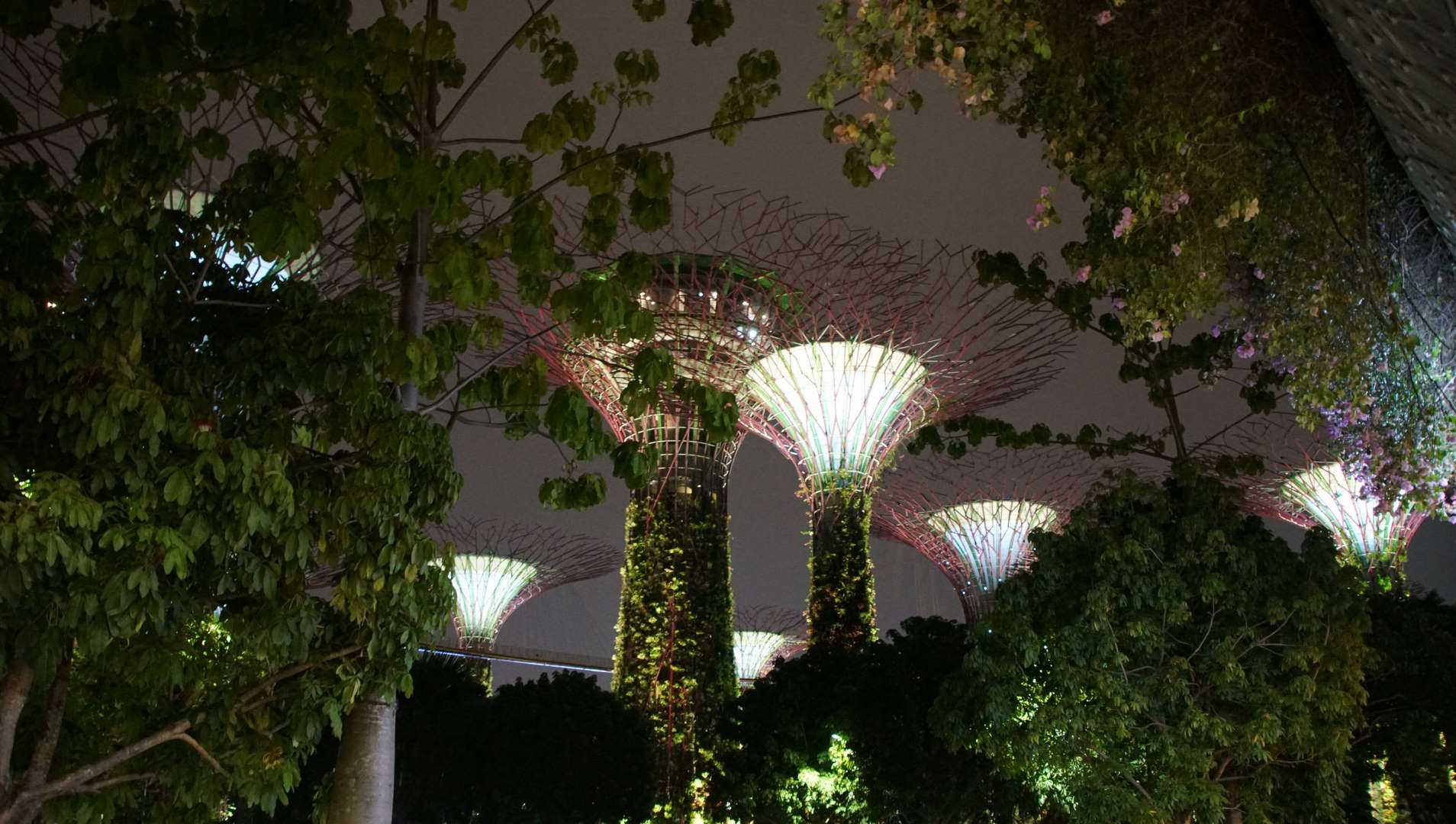 Singapur: nowoczesne miasto jutra