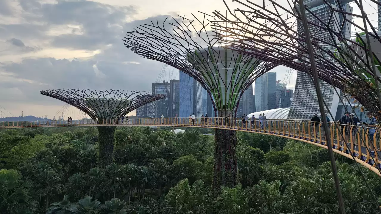 Singapur co zobaczyć? Przewodnik po najciekawszych miejscach miasta przyszłości, część 1