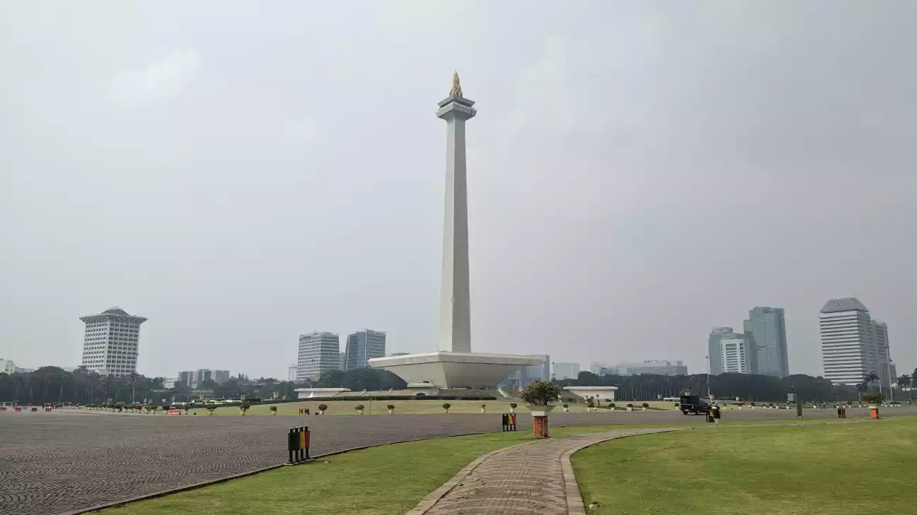 monas top