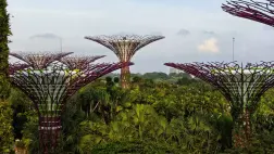 Atrakcje Singapuru, część 2: przewodnik po parkach i punktach widokowych