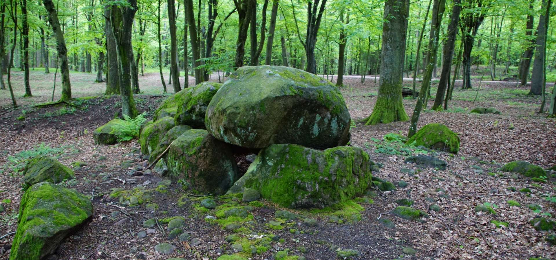 borkowo megality