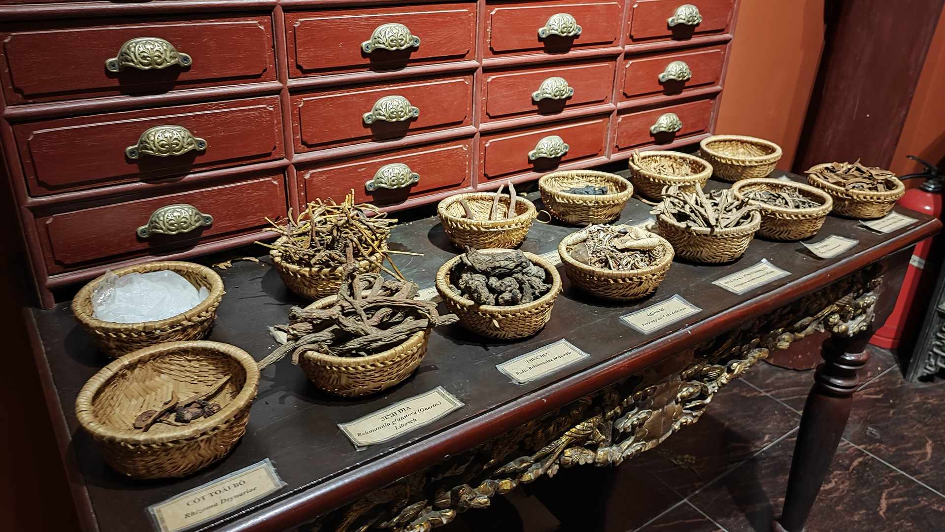 Muzeum Tradycyjnej Medycyny Wietnamskiej